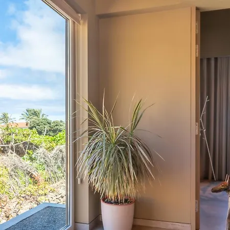 Doca Seca & Casca De Uva * Porto Moniz